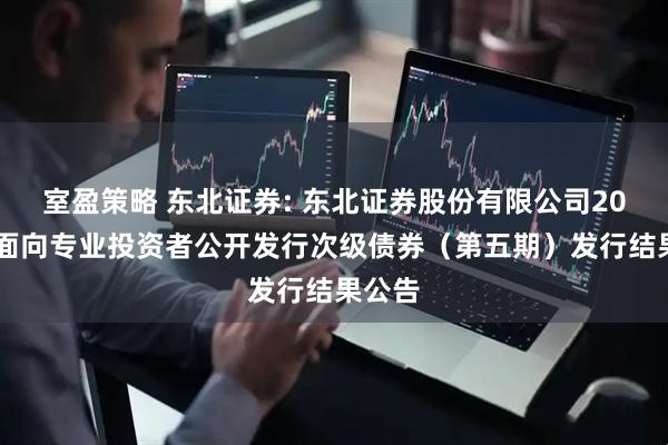 室盈策略 东北证券: 东北证券股份有限公司2025年面向专业投资者公开发行次级债券（第五期）发行结果公告