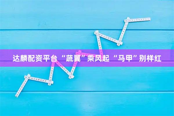 达麟配资平台 “蔬翼”乘风起 “马甲”别样红