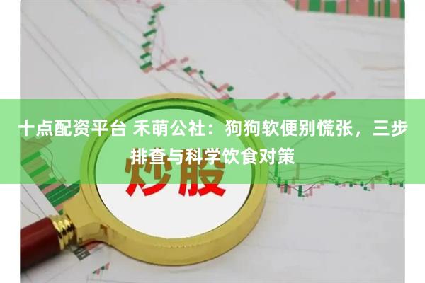 十点配资平台 禾萌公社：狗狗软便别慌张，三步排查与科学饮食对策